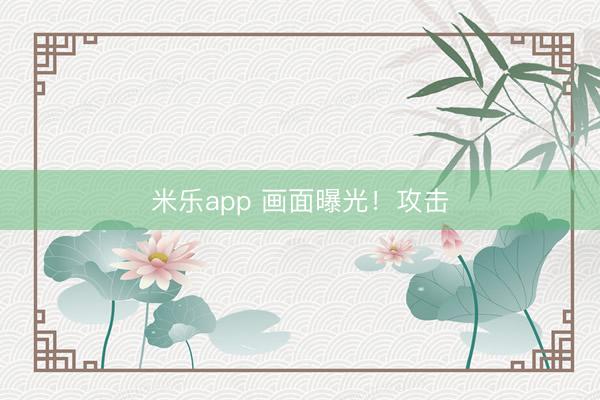 米乐app 画面曝光！攻击
