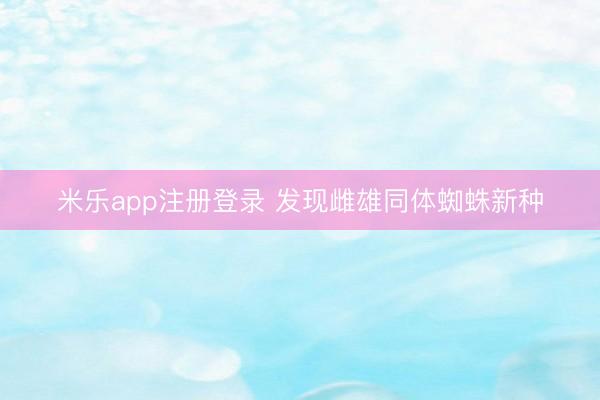 米乐app注册登录 发现雌雄同体蜘蛛新种