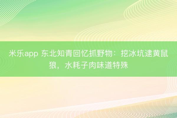米乐app 东北知青回忆抓野物：挖冰坑逮黄鼠狼，水耗子肉味道特殊