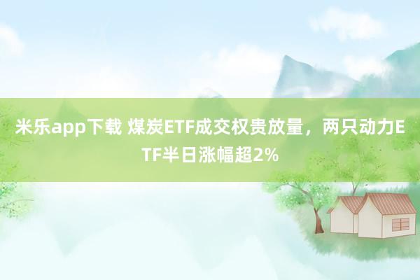 米乐app下载 煤炭ETF成交权贵放量,两只动力ETF半日涨幅超2%