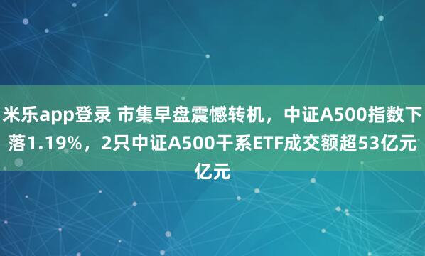 米乐app登录 市集早盘震憾转机，中证A500指数下落1.19%，2只中证A500干系ETF成交额超53亿元