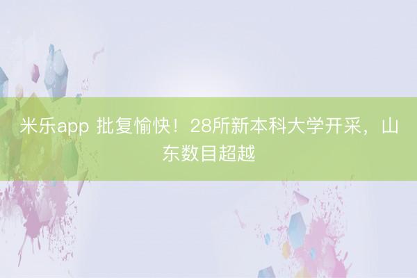 米乐app 批复愉快!28所新本科大学开采,山东数目超越